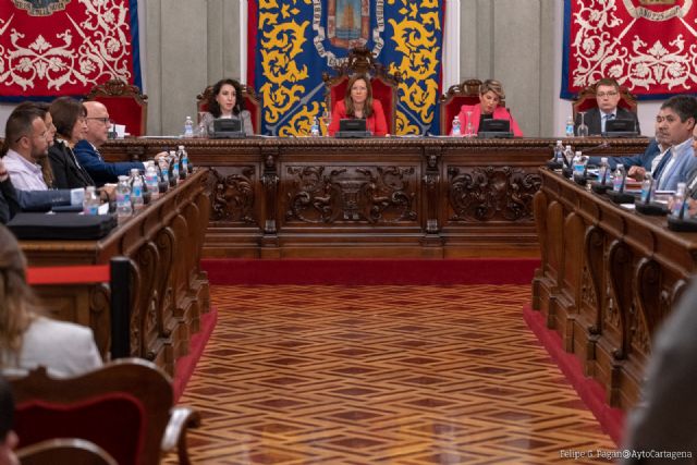 El Pleno municipal aprueba la participación de los concejales no adscritos en las comisiones informativas - 1, Foto 1