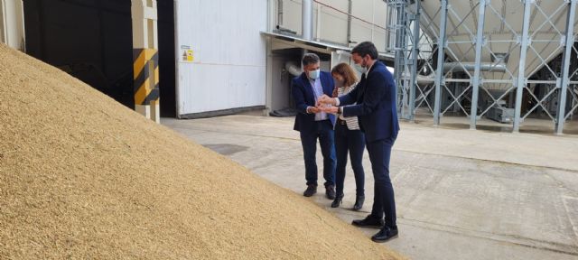 La campaña de recolección del Arroz DOP de Calasparra prevé superar los 2,5 millones de kilos esta temporada - 1, Foto 1
