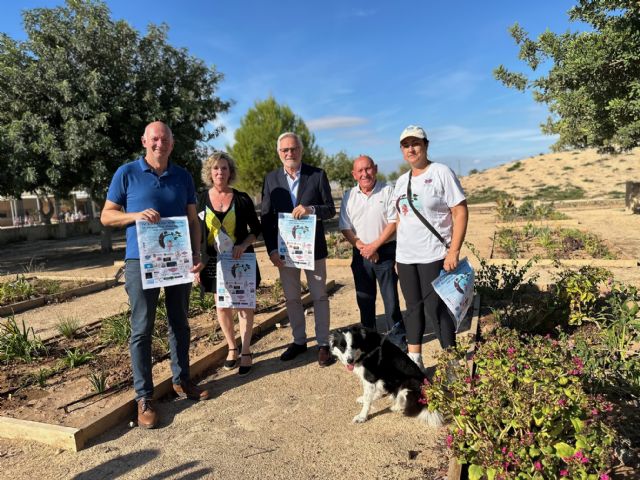 IV Carrera virtual y II Marcha Popular #elpiulardemiriam - 4, Foto 4