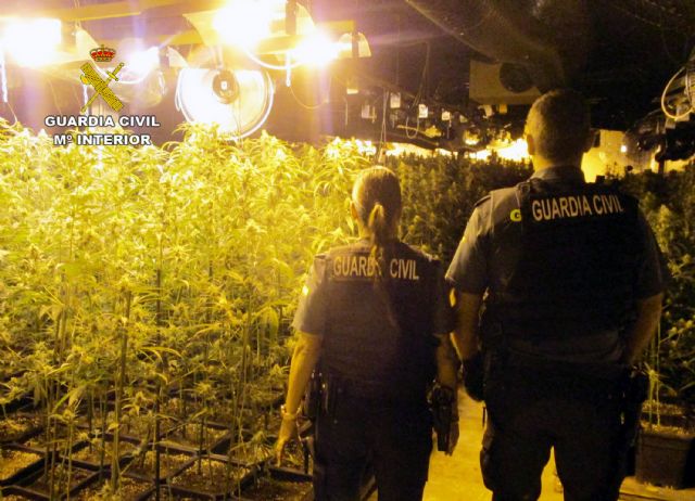 La Guardia Civil desmantela un invernadero con más de 2.000 plantas de marihuana en una nave industrial de San Javier - 1, Foto 1