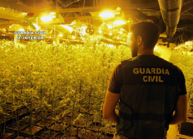 La Guardia Civil desmantela un invernadero con más de 2.000 plantas de marihuana en una nave industrial de San Javier - 2, Foto 2