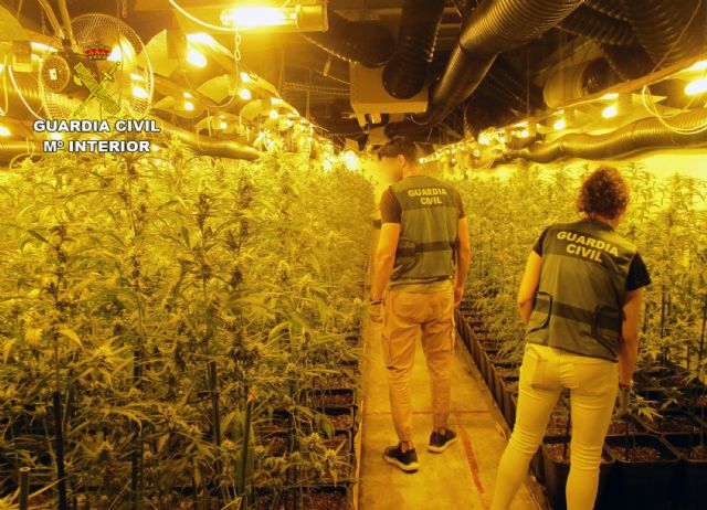 La Guardia Civil desmantela un invernadero con más de 2.000 plantas de marihuana en una nave industrial de San Javier - 3, Foto 3