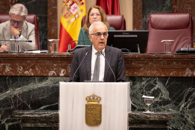 Alfonso Martínez: Es la séptima vez que el PP se equivoca con la ley de Simplificación Administrativa porque se niega a escuchar a la mayoría de la población - 1, Foto 1