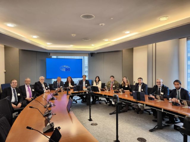 Hozono Global impulsa en Bruselas un diálogo sobre la normativa europea del transporte sanitario - 3, Foto 3