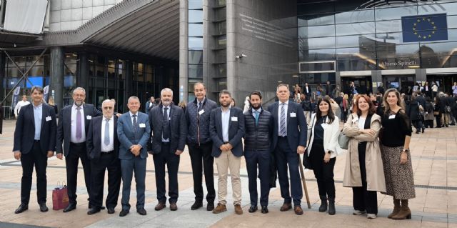 Hozono Global impulsa en Bruselas un diálogo sobre la normativa europea del transporte sanitario - 4, Foto 4