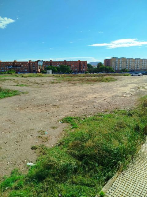 El Partido Cantonal denuncia una plaga de ratas en la Urbanización Nueva Cartagena - 2, Foto 2
