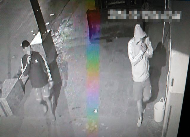 La Guardia Civil desmantela una activa banda juvenil dedicada a la sustracción de motocicletas y ciclomotores - 1, Foto 1