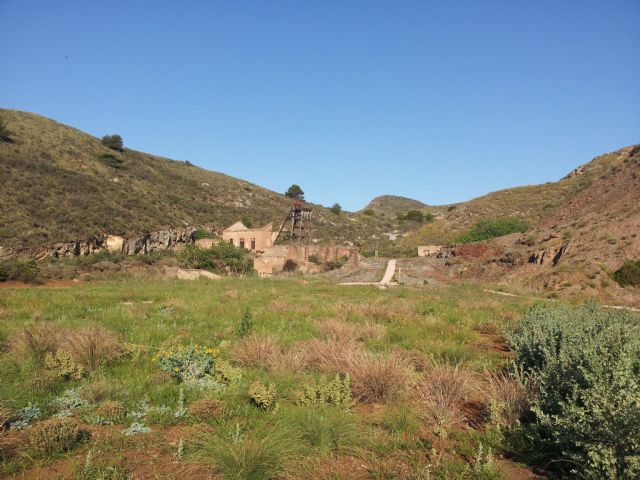 La Politécnica presenta técnicas biológicas que evitan que suelos con metales e hidrocarburos sean foco de contaminación - 2, Foto 2
