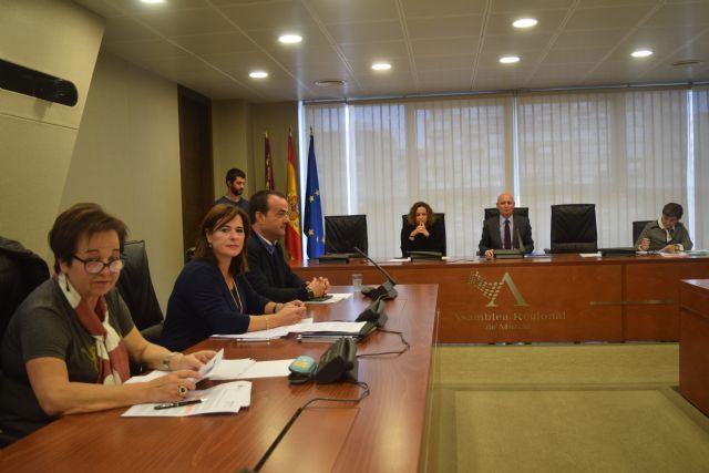 La Asamblea insta a realizar campañas de uso responsable de los antibióticos a propuesta del PP - 1, Foto 1