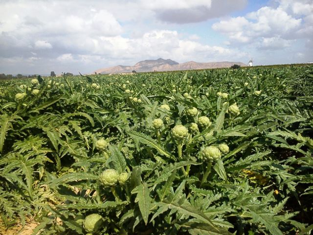 El Pleno se suma a las reclamaciones de la Comunidad de Regantes del Campo de Cartagena - 1, Foto 1