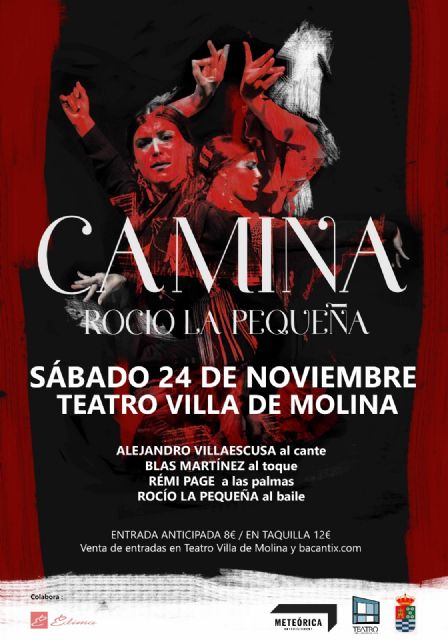 La molinense ROCÍO LA PEQUEÑA presenta el espectáculo flamenco Camina el sábado 24 de noviembre en el Teatro Villa de Molina - 1, Foto 1