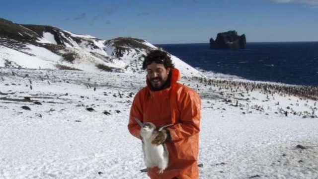 Un grupo de investigación de la UMU descubre altos niveles de mercurio en los pingüinos de la Antártida - 1, Foto 1