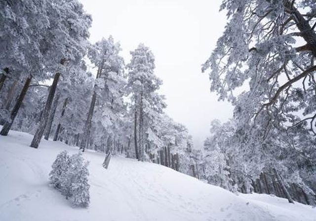 Los espesores de nieve serán muy destacables en las cordilleras del centro y norte peninsular, Foto 1