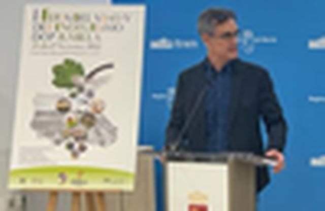 Feria del vino y del enoturismo DOP Jumilla - 1, Foto 1