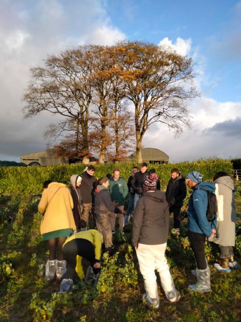 Coordinadores y mentores del proyecto Erasmus UPSKILL+ se reúnen en Irlanda para testar las actuaciones que se están llevando a cabo - 1, Foto 1