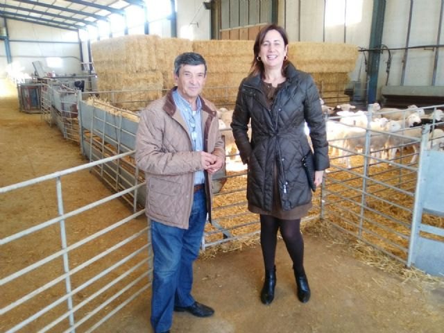 Agricultura apoya al sector ganadero en su apuesta por mejorar la oferta para incrementar el consumo de carne de cordero - 1, Foto 1