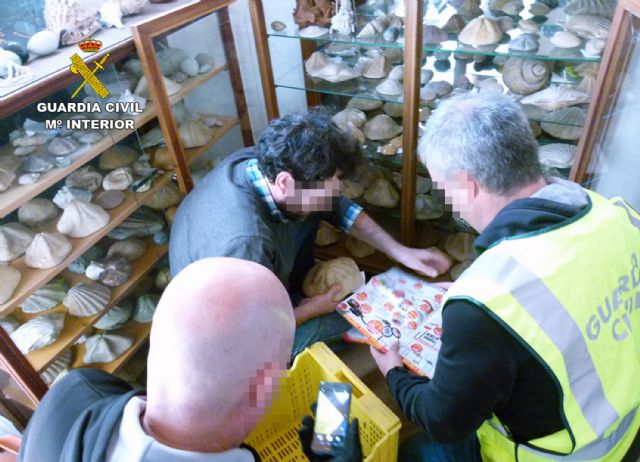 La Guardia Civil recupera cerca de 20.000 piezas arqueológicas y paleontológicas - 1, Foto 1
