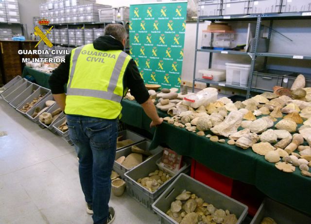 La Guardia Civil recupera cerca de 20.000 piezas arqueológicas y paleontológicas, Foto 3