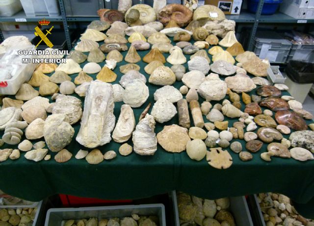La Guardia Civil recupera cerca de 20.000 piezas arqueológicas y paleontológicas, Foto 4