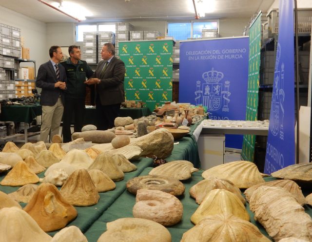 La Comunidad y la Guardia Civil recuperan una importante colección arqueológica y paleontológica - 1, Foto 1