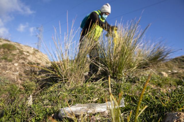 ´1m2 por el campo, los bosques y el monte´ - 2, Foto 2
