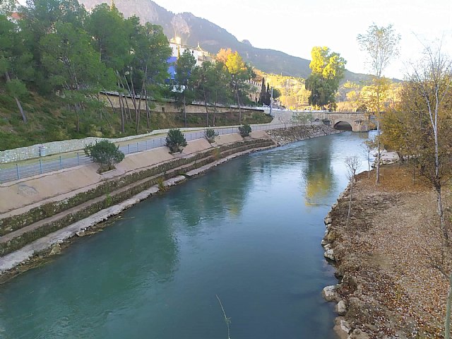 Finaliza el primer proyecto de los Consejos Comarcales de Empleo 2020 - 1, Foto 1