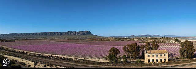 Cieza consigue la Vía Verde de la Floración - 1, Foto 1