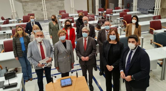 El grupo parlamentario liberal destaca la igualdad y universalidad del servicio que la Ley de Atención Temprana promueve - 1, Foto 1