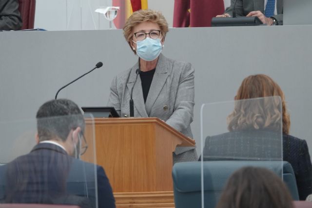 La Asamblea aprueba la Ley de Atención Temprana, un nuevo gran avance social del Gobierno de Fernando López Miras - 1, Foto 1