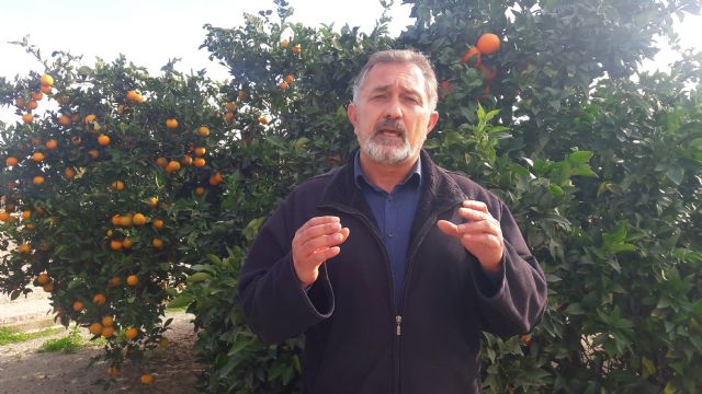 Una docena de jóvenes agricultores lorquinos reciben 320.000€ en ayudas del gobierno regional con el objetivo de impulsar el relevo generacional - 1, Foto 1