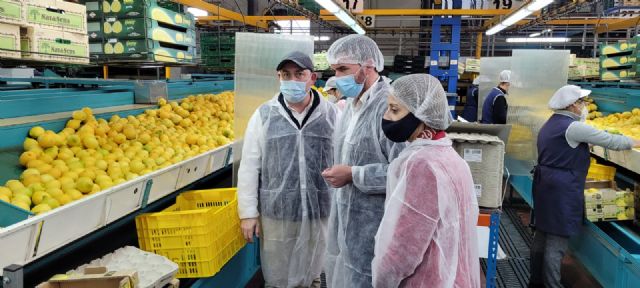 La Comunidad solicita al Ministerio que reclame para los cítricos de la Región de Murcia la declaración de producto sensible ante la Unión Europea - 1, Foto 1