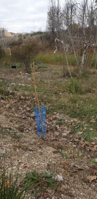 El Ayuntamiento de Calasparra realiza una actividad entre los escolares de la localidad para concienciar sobre la importancia de la polinización - 2, Foto 2