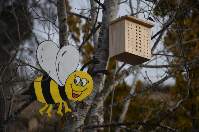 El Ayuntamiento de Calasparra realiza una actividad entre los escolares de la localidad para concienciar sobre la importancia de la polinización - 5, Foto 5