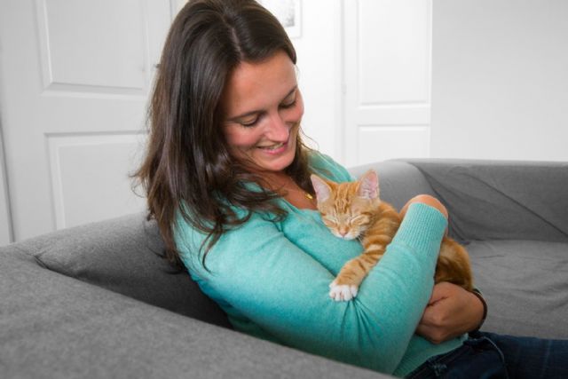 Cómo cuidar de las mascotas en estas Navidades - 1, Foto 1