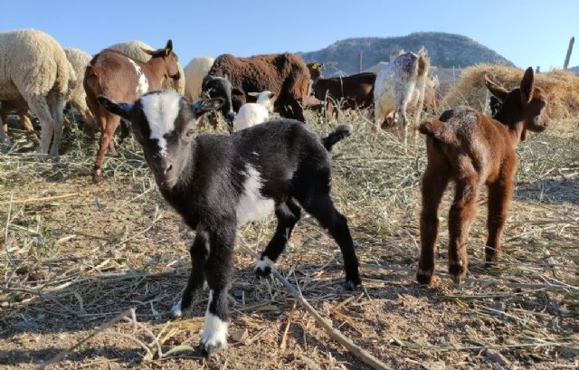 Balance agroganadero 2022. Bajas producciones y altos costes: “ - 1, Foto 1