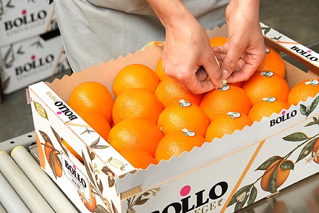 Bollo International Fruits y The Natural Fruit Company caminarán juntas - 1, Foto 1