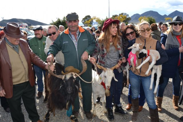 La pedanía de Tébar celebra su tradicional fiesta de San Antonio Abad - 3, Foto 3