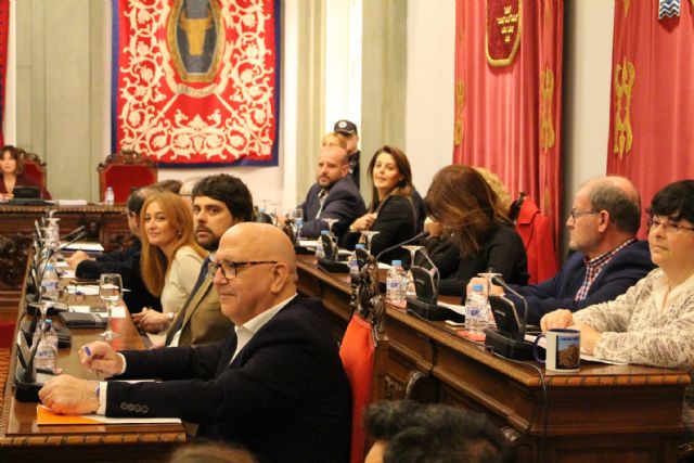 Ciudadanos pedirá en el Pleno un reglamento para regular el reparto de la publicidad institucional según criterios objetivos - 1, Foto 1