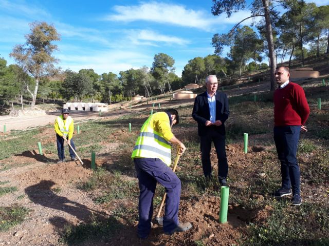 Medio Ambiente planta más de 1.200 pinos carrascos y 500 arbustos en el parque municipal de Los Polvorines en Monteagudo - 1, Foto 1