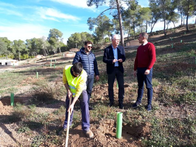 Medio Ambiente planta más de 1.200 pinos carrascos y 500 arbustos en el parque municipal de Los Polvorines en Monteagudo - 2, Foto 2