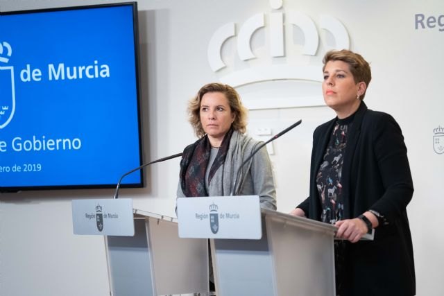 Referencia del Consejo de Gobierno 23/01/2019 - 1, Foto 1