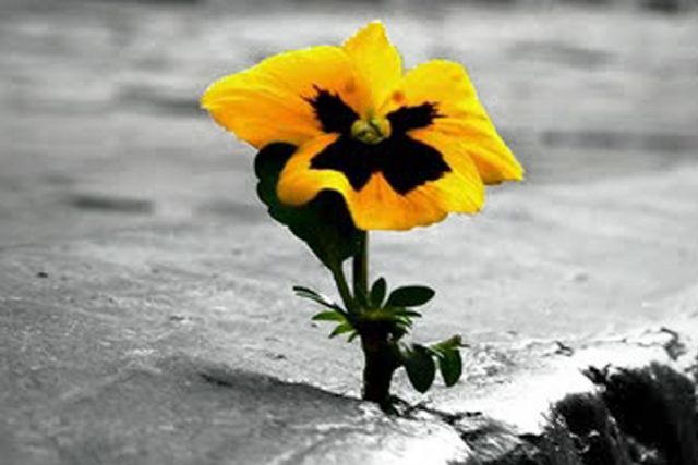 El IES Ben Arabí de Cartagena entrega el Premio Jacinto Alcaraz Mellado - 1, Foto 1