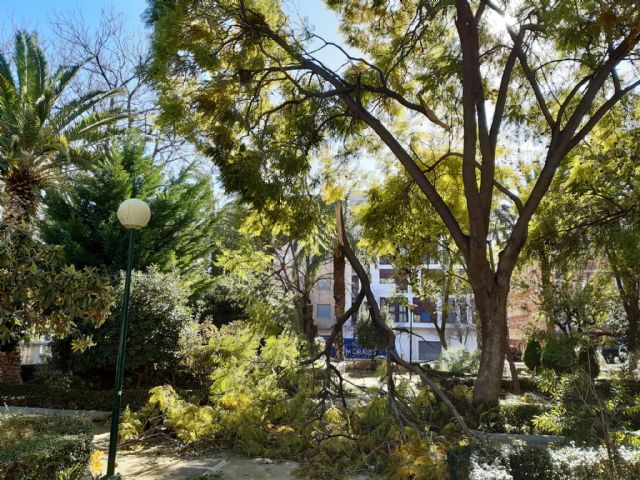 La borrasca 'Hortense' generó ayer en el municipio de Lorca más de 150 avisos a los servicios de emergencias y seguridad debido a las fuertes rachas de viento - 1, Foto 1