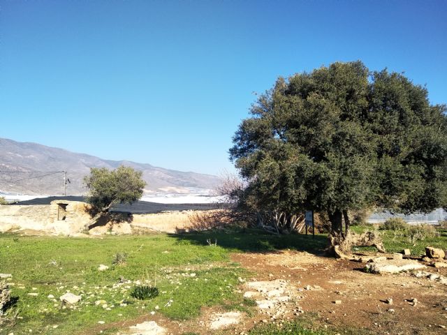 Paz y educación ambiental - 1, Foto 1