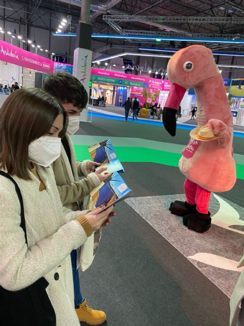 Turismo propone el juego ¿Dónde está Mingo? para descubrir el municipio de manera divertida - 2, Foto 2