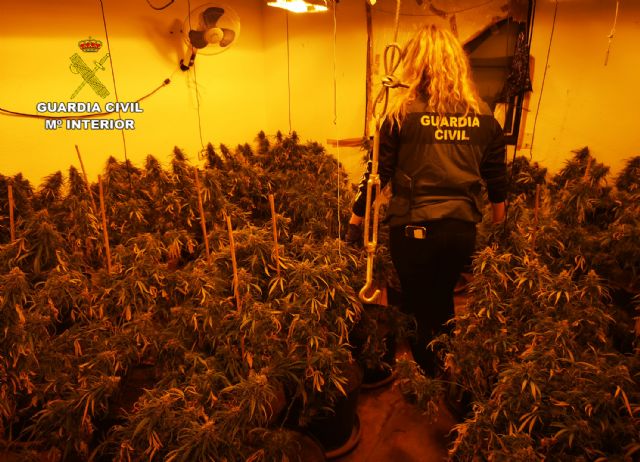 La Guardia Civil desarticula un grupo delictivo dedicado al cultivo ilícito de marihuana en Las Torres de Cotillas - 1, Foto 1