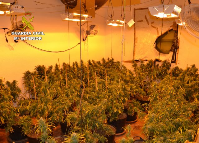 La Guardia Civil desarticula un grupo delictivo dedicado al cultivo ilícito de marihuana en Las Torres de Cotillas - 3, Foto 3
