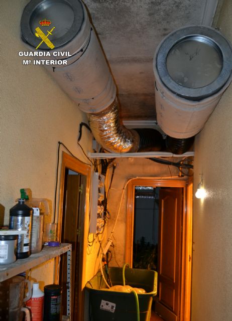 La Guardia Civil desarticula un grupo delictivo dedicado al cultivo ilícito de marihuana en Las Torres de Cotillas - 5, Foto 5