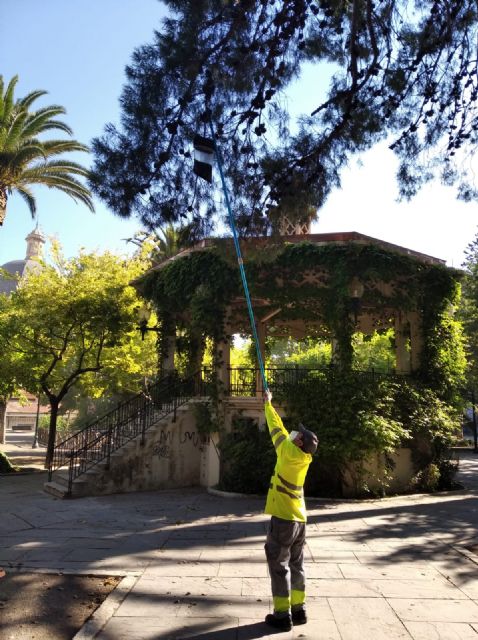 La procesionaria del pino: el enemigo silencioso de nuestros bosques y jardines - 1, Foto 1