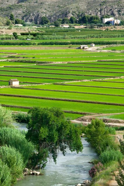 Calasparra se posiciona como referente turístico de la Región de Murcia en FITUR 2025 - 3, Foto 3